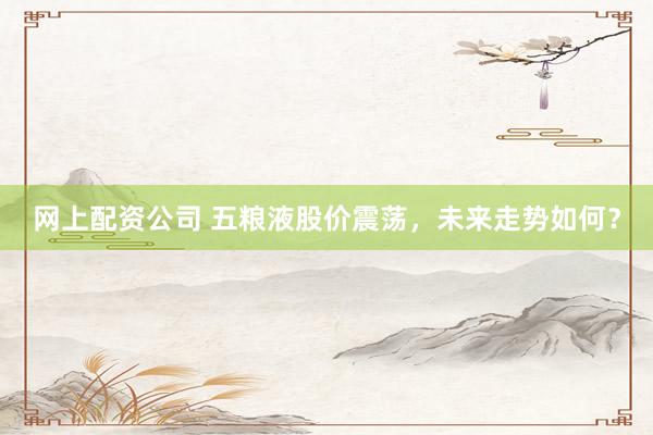网上配资公司 五粮液股价震荡，未来走势如何？