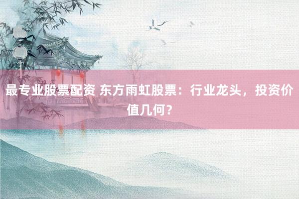 最专业股票配资 东方雨虹股票：行业龙头，投资价值几何？