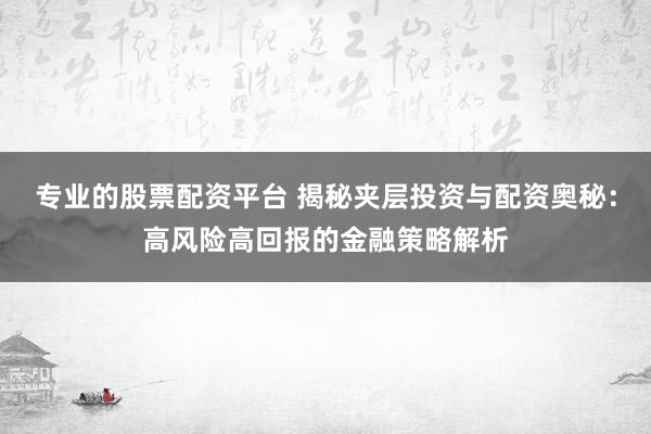 专业的股票配资平台 揭秘夹层投资与配资奥秘：高风险高回报的金融策略解析