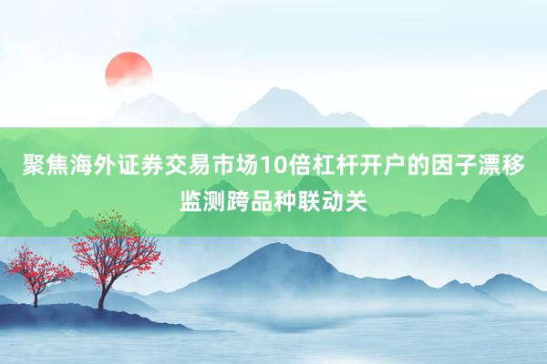 聚焦海外证券交易市场10倍杠杆开户的因子漂移监测跨品种联动关